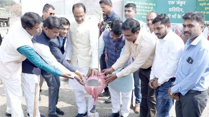 मुख्यमंत्री श्री चौहान के साथ लोणारी कुनबी समाज के प्रतिनिधियों ने पौध-रोपण किया